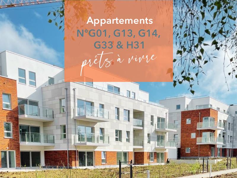appartement-pret-a-vivre-a-namur-nivelles-g33-g01-g13-g14-h3113-56-2024-12:56:38.jpg